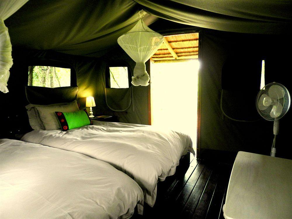 Shindzela Tented Camp ティムババティ野生保護区 エクステリア 写真