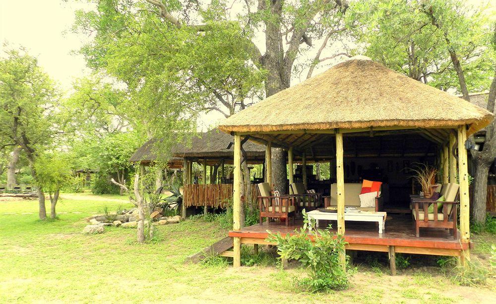 Shindzela Tented Camp ティムババティ野生保護区 エクステリア 写真