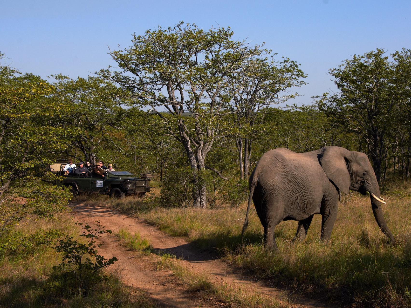 Shindzela Tented Camp ティムババティ野生保護区 エクステリア 写真