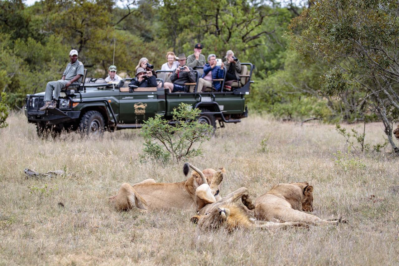 Shindzela Tented Camp ティムババティ野生保護区 エクステリア 写真