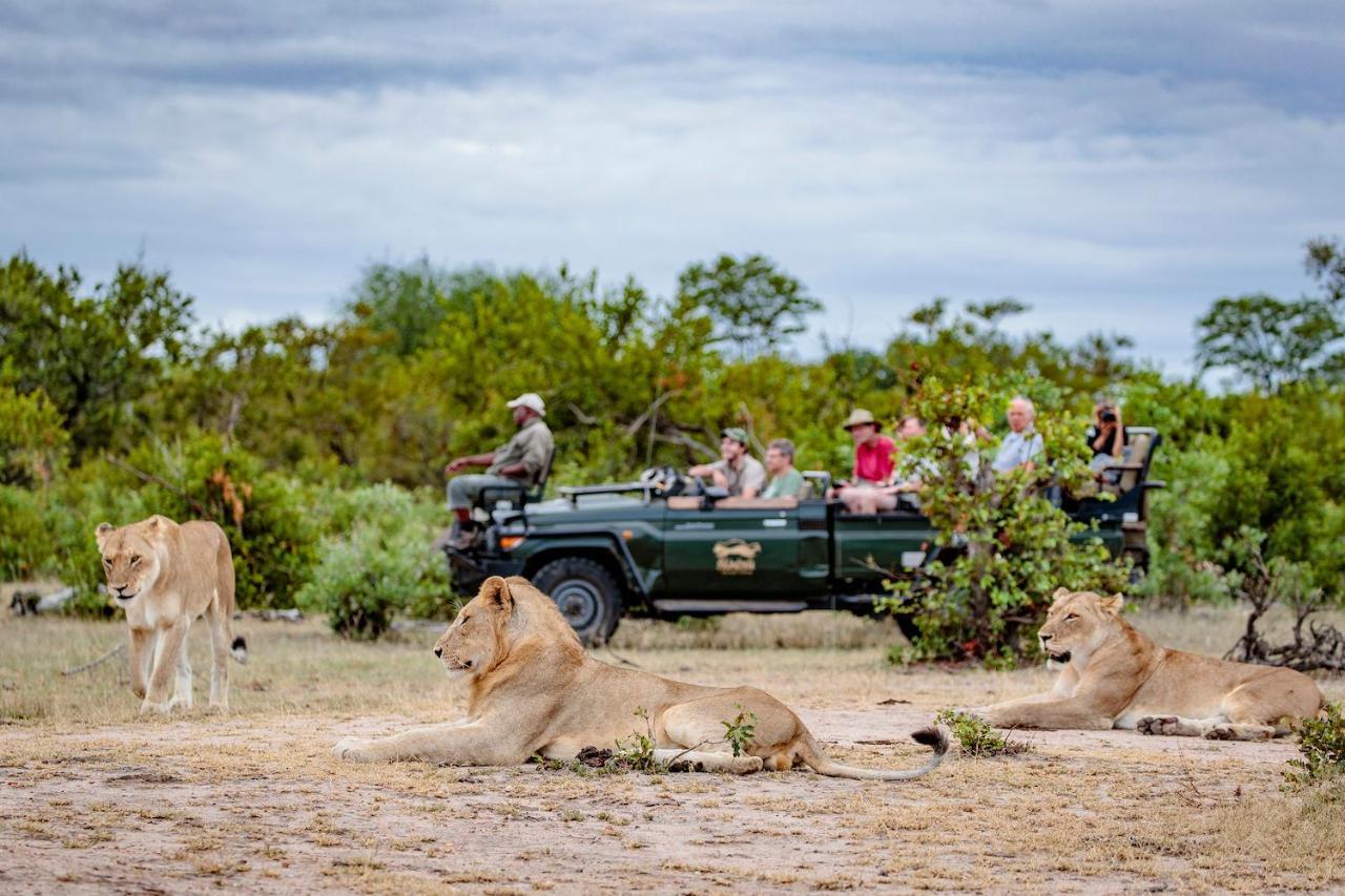 Shindzela Tented Camp ティムババティ野生保護区 エクステリア 写真