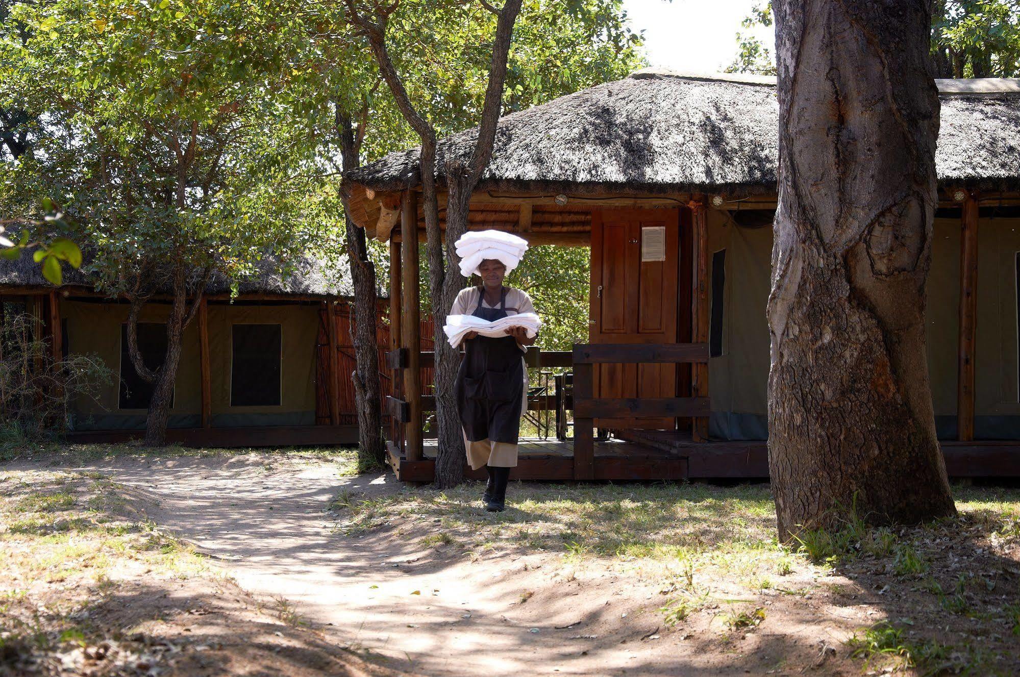 Shindzela Tented Camp ティムババティ野生保護区 エクステリア 写真