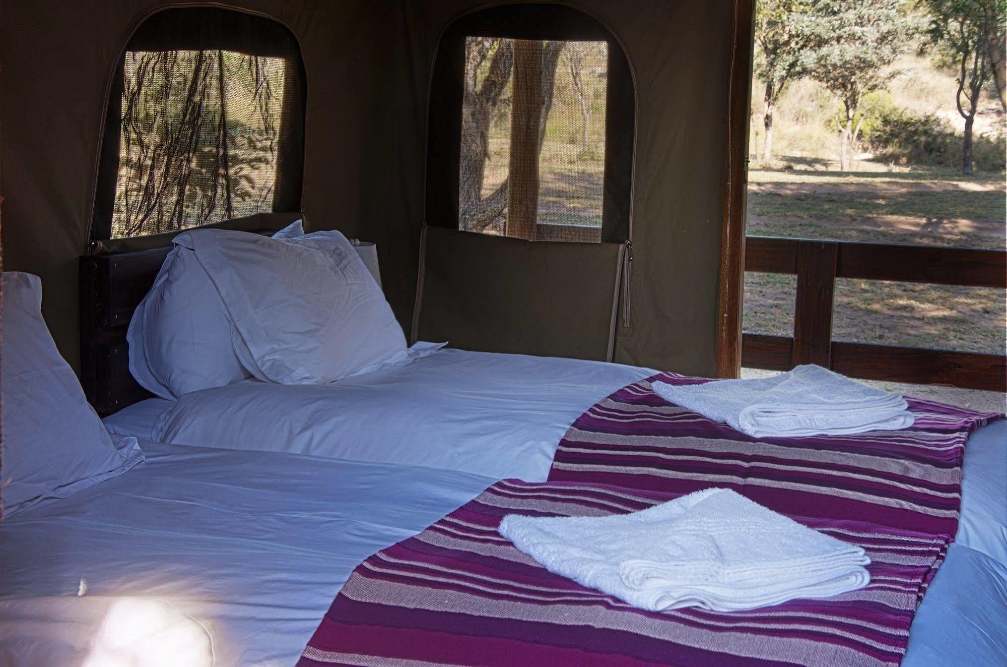 Shindzela Tented Camp ティムババティ野生保護区 エクステリア 写真