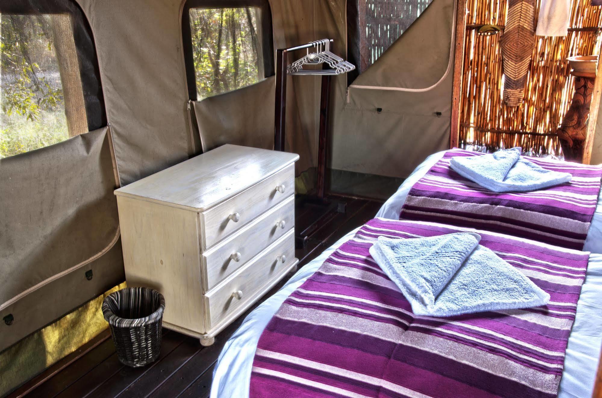 Shindzela Tented Camp ティムババティ野生保護区 エクステリア 写真