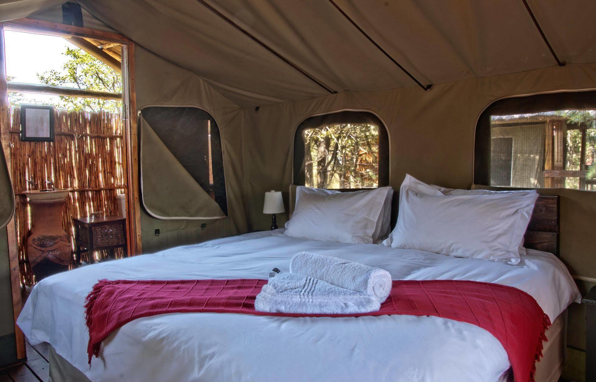 Shindzela Tented Camp ティムババティ野生保護区 エクステリア 写真