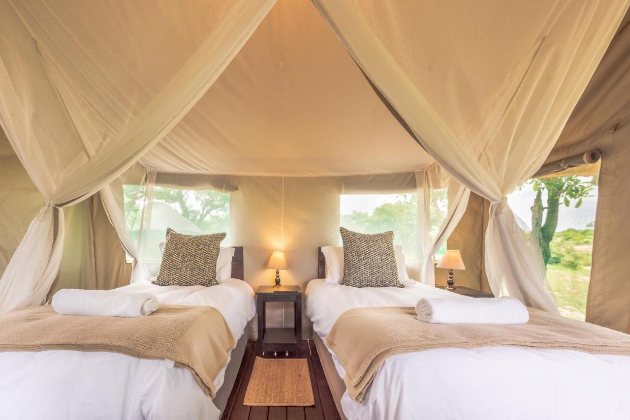 Shindzela Tented Camp ティムババティ野生保護区 エクステリア 写真