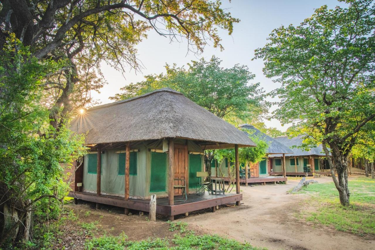 Shindzela Tented Camp ティムババティ野生保護区 エクステリア 写真