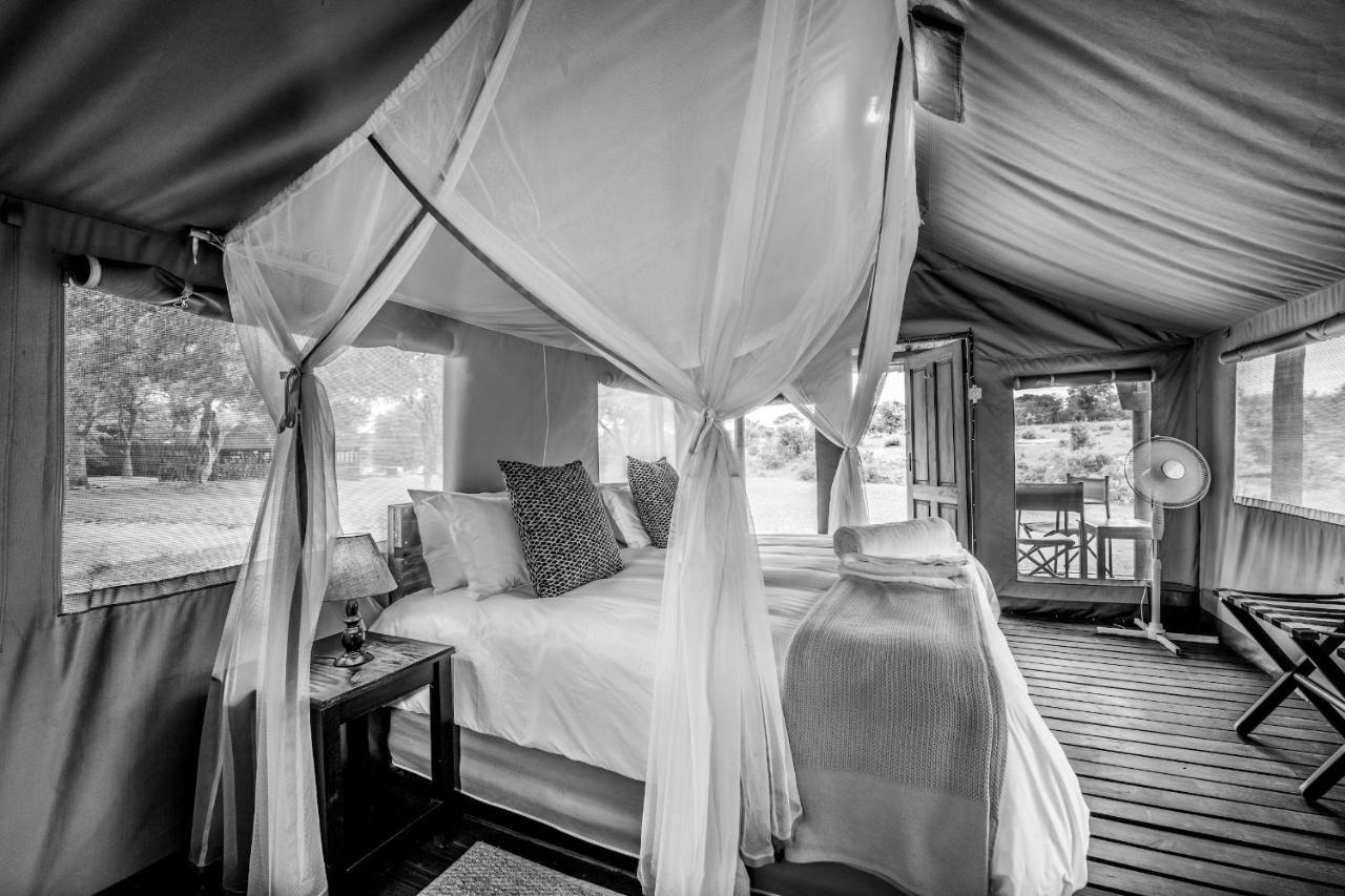 Shindzela Tented Camp ティムババティ野生保護区 エクステリア 写真