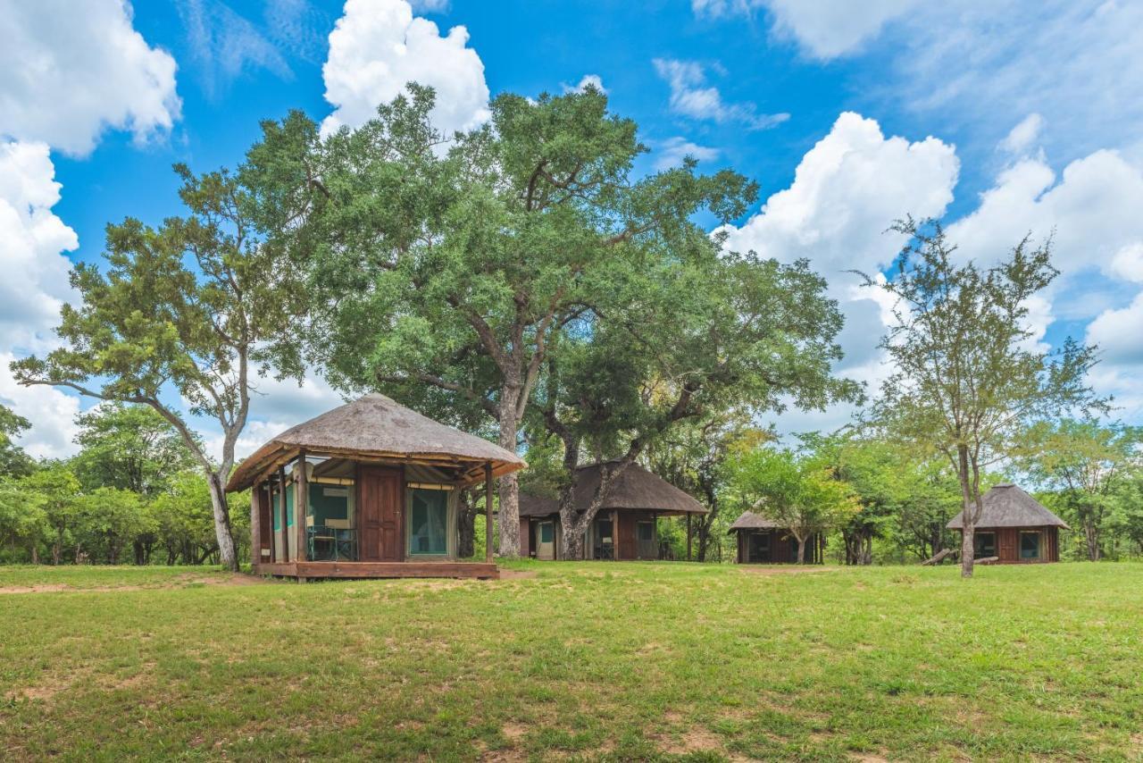Shindzela Tented Camp ティムババティ野生保護区 エクステリア 写真
