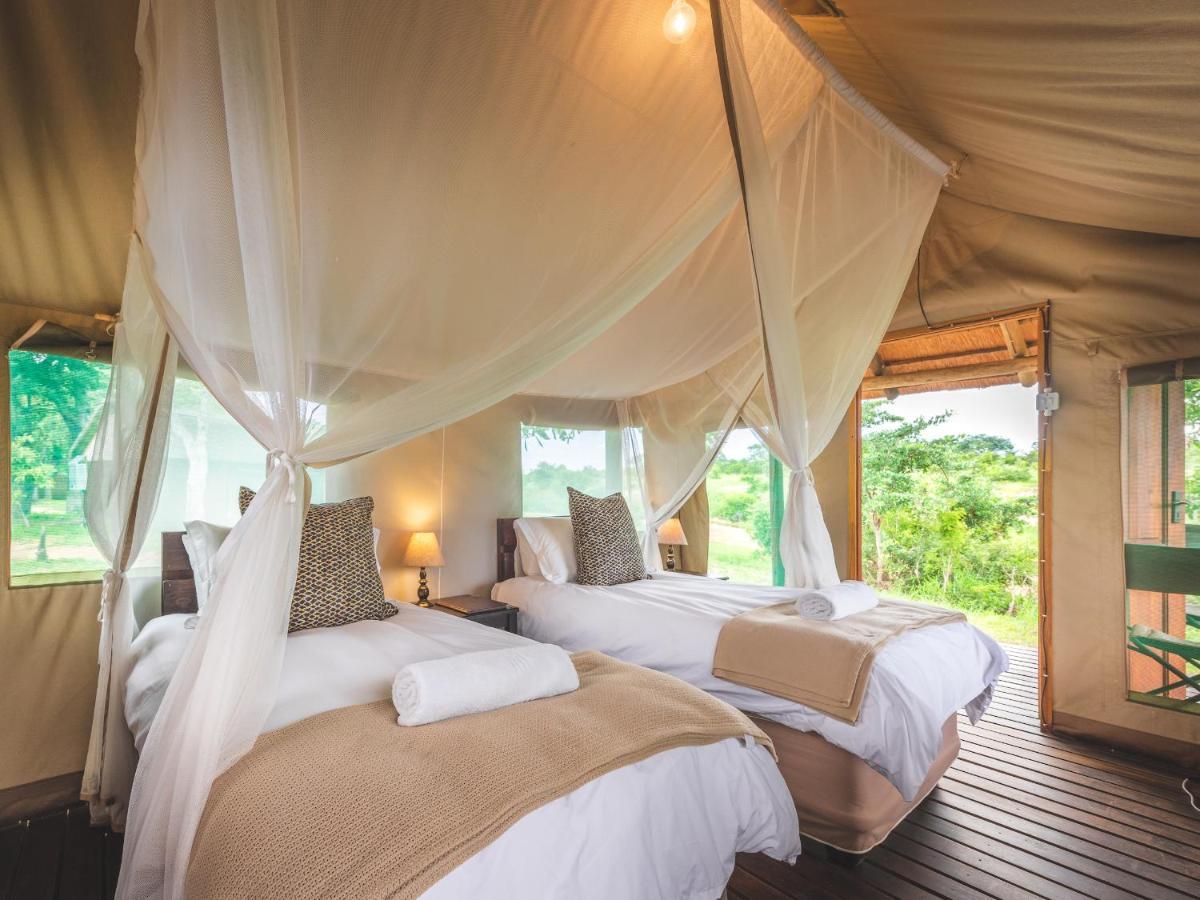 Shindzela Tented Camp ティムババティ野生保護区 エクステリア 写真
