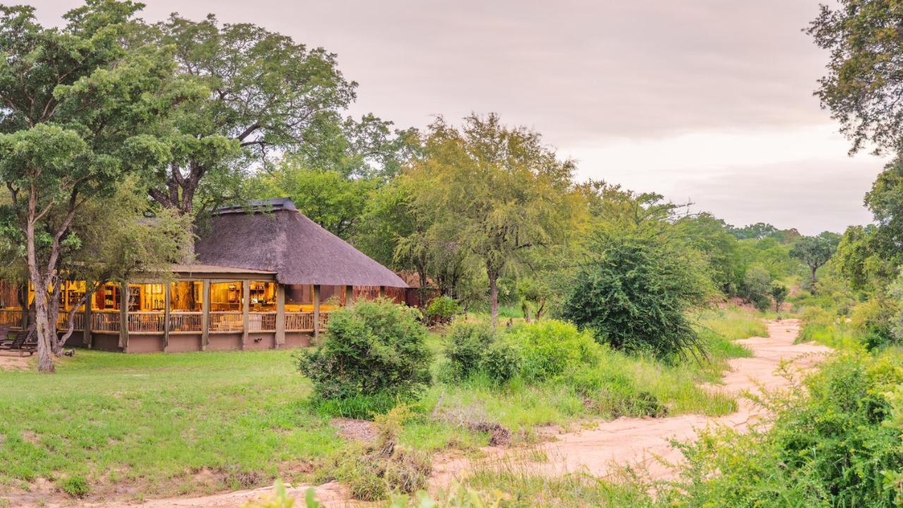 Shindzela Tented Camp ティムババティ野生保護区 エクステリア 写真