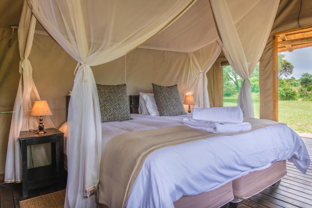 Shindzela Tented Camp ティムババティ野生保護区 エクステリア 写真