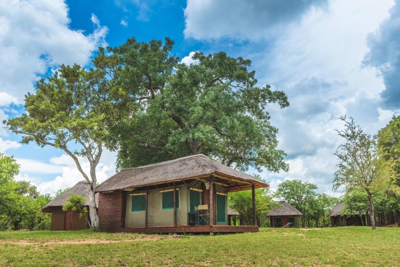 Shindzela Tented Camp ティムババティ野生保護区 エクステリア 写真