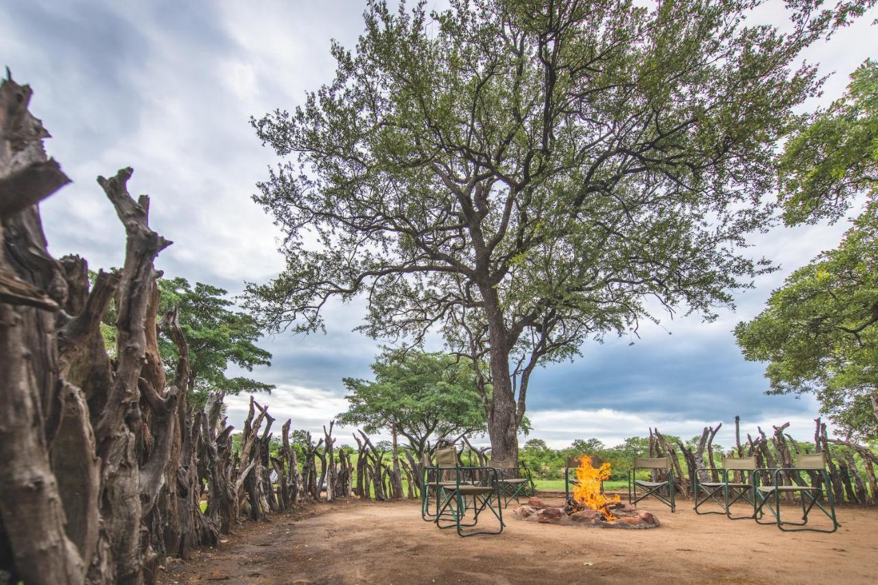 Shindzela Tented Camp ティムババティ野生保護区 エクステリア 写真